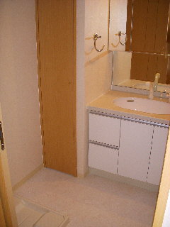 Washroom. There Vanity.