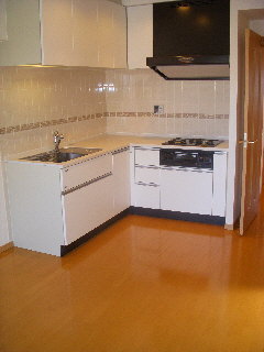 Kitchen. System kitchen.