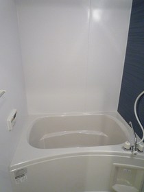 Bath. With bathroom dryer in the bath