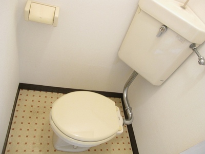 Toilet. Bath and toilet is another