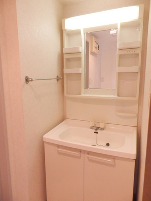 Washroom. Independent wash basin