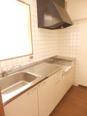 Kitchen. Popular counter kitchen! Gas stove installation Allowed