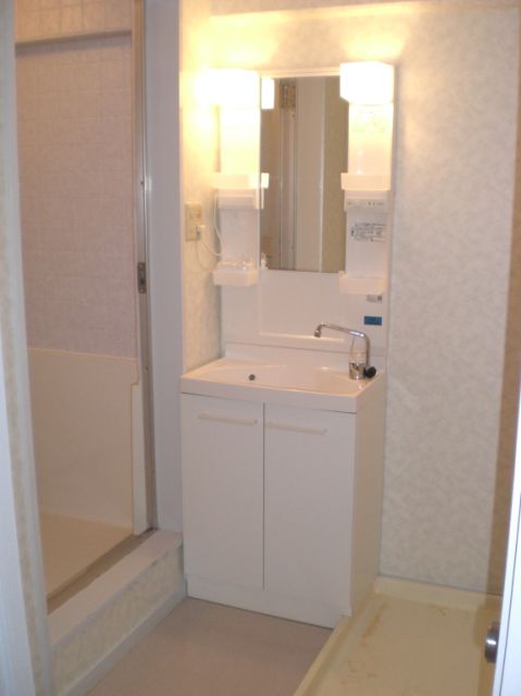 Washroom. October 2009, Wash basin renewal already. 