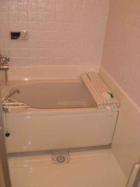 Bath. October 2009, Bathtub renewal already. 