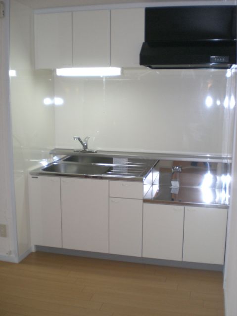 Kitchen. October 2009, Kitchen renewal already. 