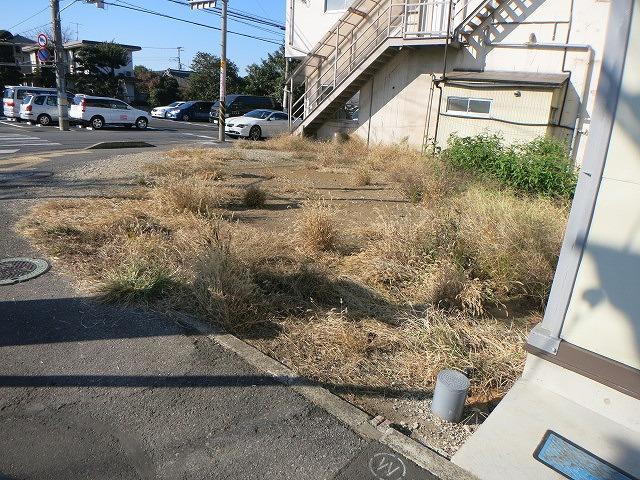 Local land photo. Local (12 May 2013) Shooting