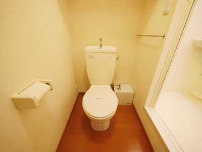 Toilet. Toilet with cleanliness
