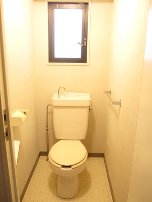 Toilet. Bright window with toilet