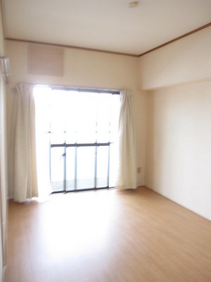 Living and room. South-facing Western-style