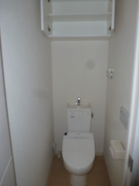 Toilet. Toilet with cleanliness