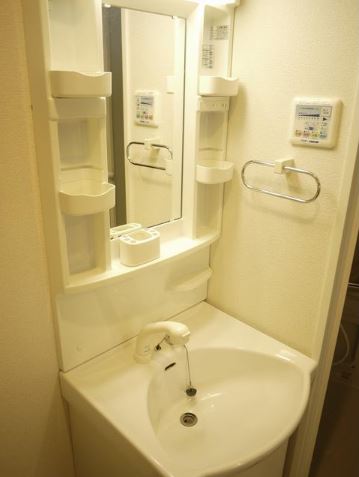 Washroom. Convenient Shampoo dresser