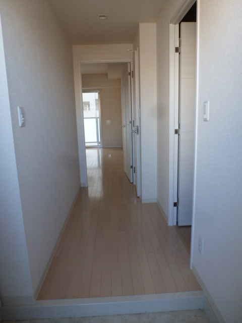 Entrance. How from the entrance I saw the room