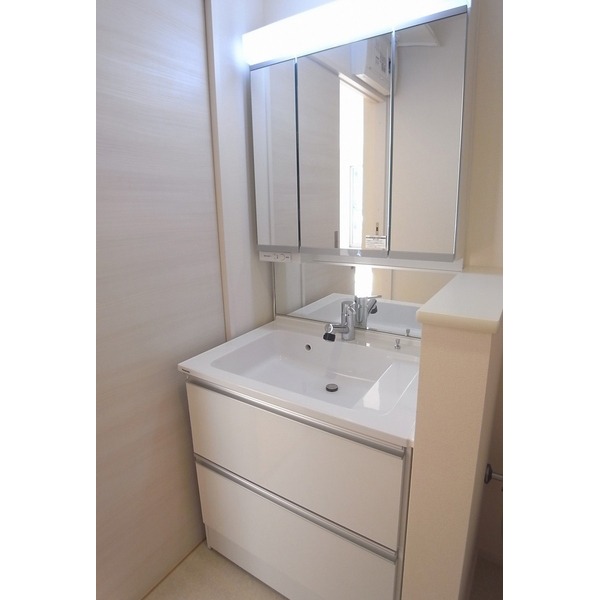 Washroom. Shampoo dresser