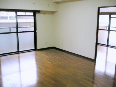 Living and room. Indoor reference photograph