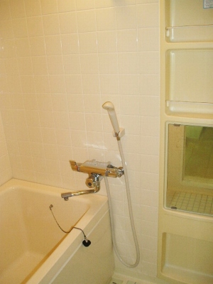 Bath. Indoor reference photograph