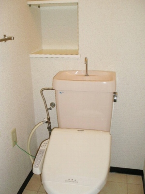 Toilet. Indoor reference photograph