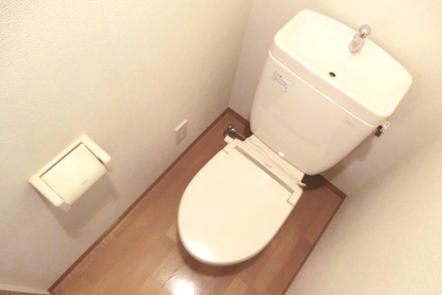 Toilet. ☆ Popular bus ・ Restroom! ☆