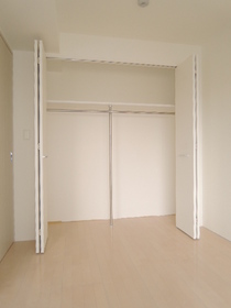 Living and room. It is a closet with a top shelf.