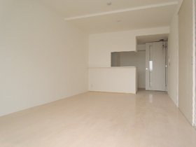 Living and room. Face-to-face kitchen visible from the living room