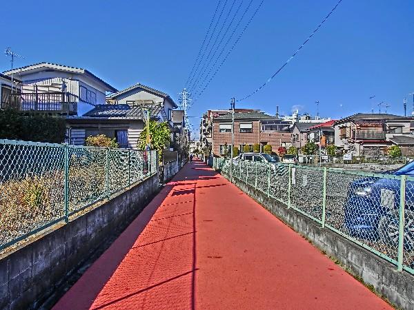 Local land photo. Relaxed some new life of the plan will start from here! 