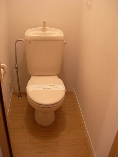 Toilet. It is a beautiful toilet.