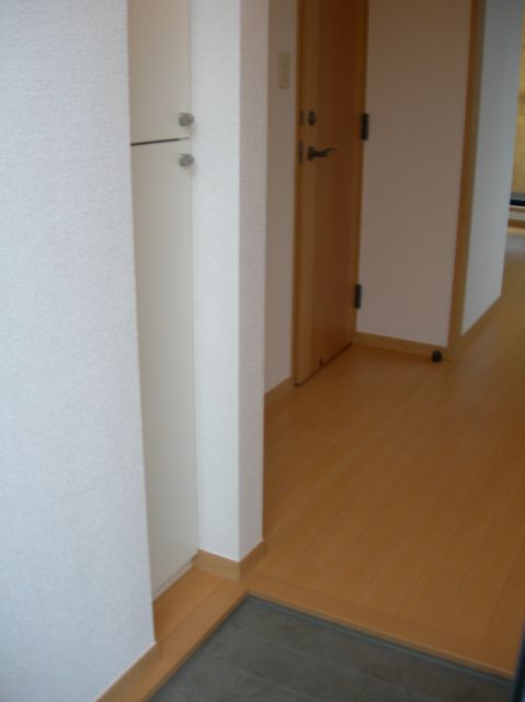 Entrance. Entrance with cupboard