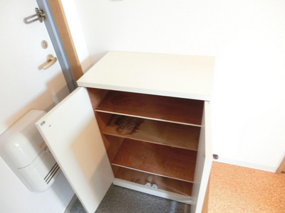 Entrance. There is also a perfectly cupboard!