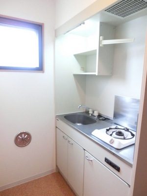 Kitchen. Gas stove with a kitchen