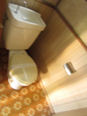 Toilet. Toilet