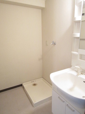 Washroom. There popular shampoo dresser!