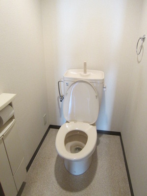 Toilet. It can be stored small items!