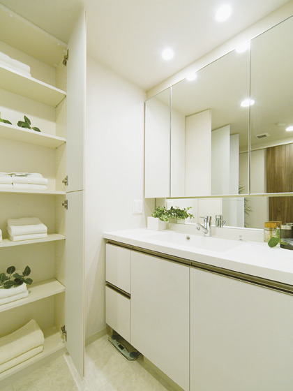 Cleanliness full wash room with a rich storage