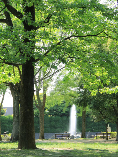 Surrounding environment. Kitaurawa park (about 1340m, 17 minutes walk)