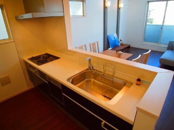 Kitchen. With water purifier, Vantage counter kitchen.