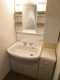 Washroom. Shampoo dresser