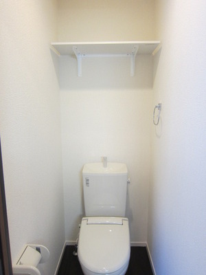 Toilet. For convenient storage with a shelf!