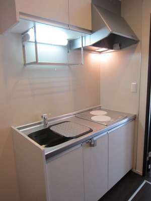 Kitchen. Washing place has also been devised! System kitchen!