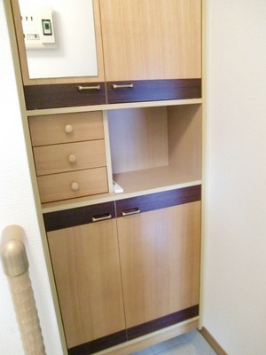 Entrance. It is the front door storage!