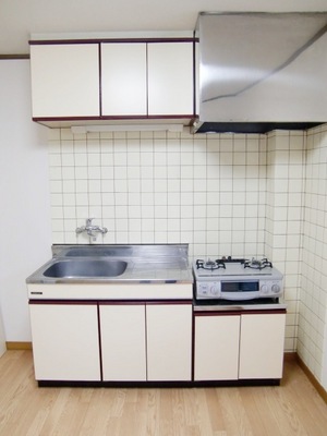 Kitchen. Gas stove Installed