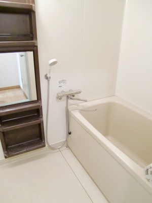 Bath. It is the size to put loose