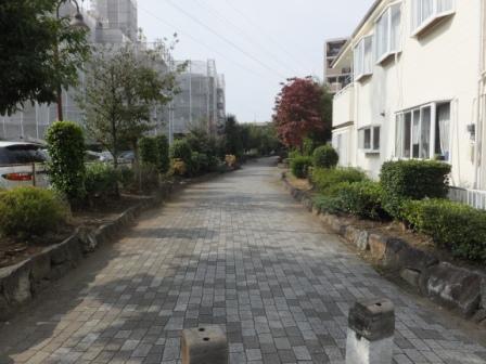 Other. Local (12 May 2012) shooting