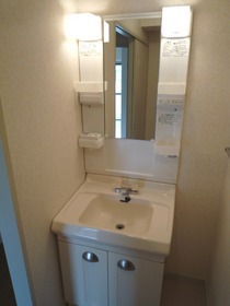 Washroom. Vanity of independence