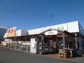 Other. Viva Home until the (other) 900m