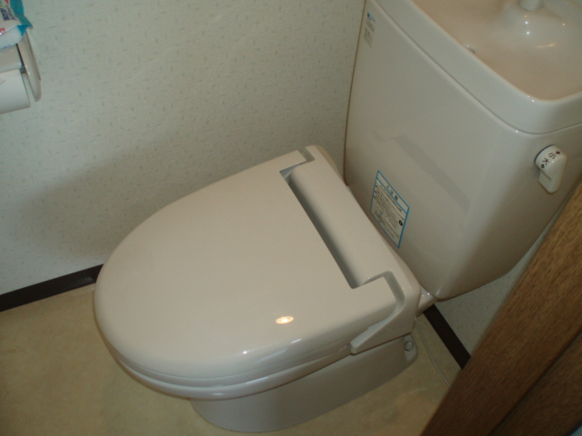 Toilet. ☆ There is no cold ass heating toilet seat ☆