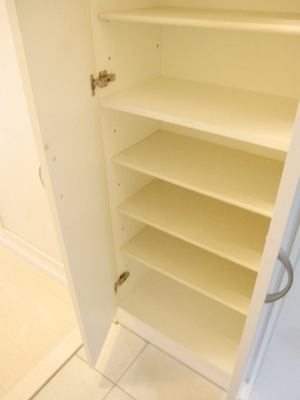 Other. Also shoe box storage lot