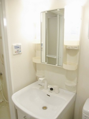 Washroom. Shampoo dresser