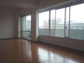 Living and room. We are living in the south-facing.