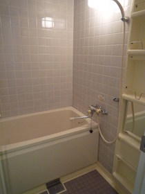 Bath. Bathroom of the high-temperature hot water feed hot water supply