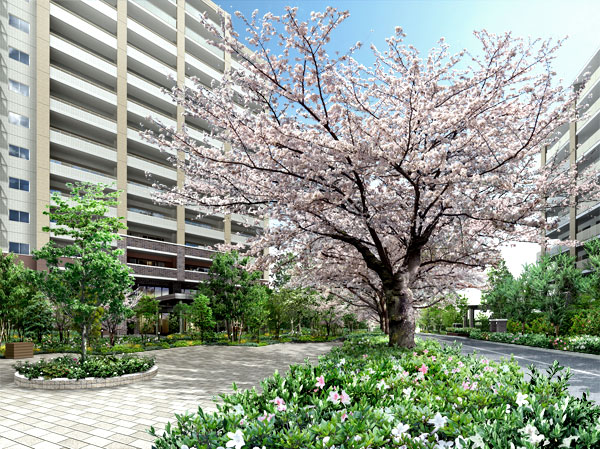 Shared facilities.  [Along with the cherry tree that has been staring at the life of the land] The trappings of a straight street running through between the two grounds, Cherry trees that have been rooted in this land. As the presence of eternity to inherit the history of the mansion district, From now on, I will keep you informed beautifully the coming of spring. (Center Promenade Rendering)