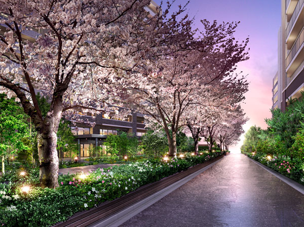 Buildings and facilities. Nurture a new pride in Urawa Tokiwa leave the cherry existing trees. Mansion district Urawa is proud, Cherry tree-lined, which has continued to bloom in the land of Tokiwa. And the landscape, There alive in order to inherit the pride of the city, This tree-lined "Urawa Tokiwa The ・ It was a symbol of Residence ". At the center of this landscape, It will spread mansion city block that combines beauty and comfort should be proud and to the future. (Appearance and city Rendering)